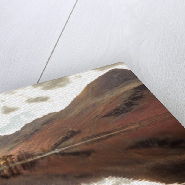 Still Lake, Lake District by Assaf Frank